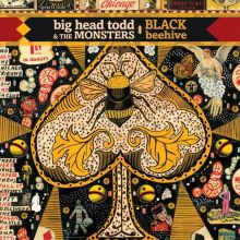 Album cover for Black Beehive by Big Head Todd & the Monsters