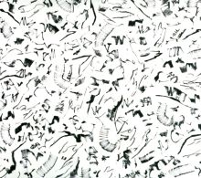 Album cover for Sky Swimming by Elephant