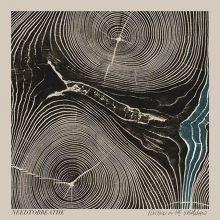 Album cover for Rivers in the Wasteland by Needtobreathe
