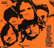 Album cover for Days Nights & Late Morning Lights by The See See