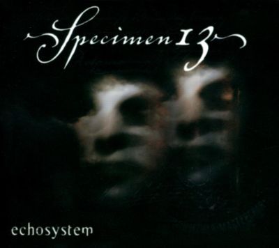 Echosystem