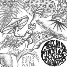 Album cover for Gumbo and Holy Water by Greg Ginn / Greg Ginn & the Taylor Texas Corrugators