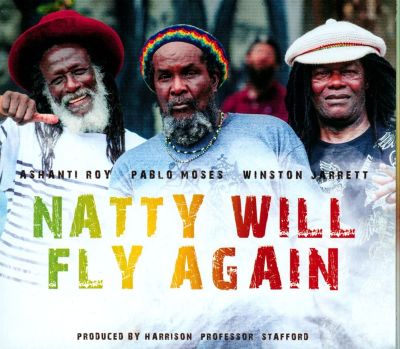 Natty Will Fly Again