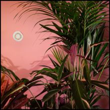 Album cover for Mixed Blessings by Beaty Heart
