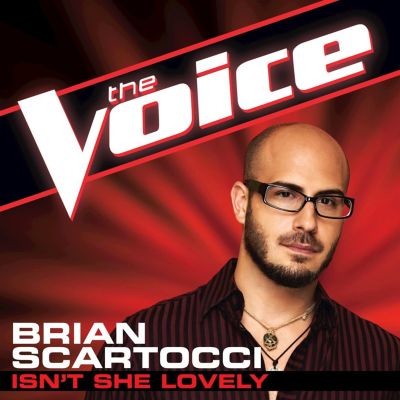 Isn't She Lovely [The Voice Performance]