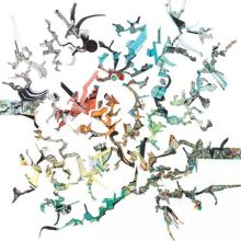 Jameszoo: Fool Tracks & Reviews | AllMusic