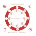 Moonlight Fantasy
