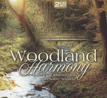 Woodland Harmony: Soothing Instrumentals with Nature Sounds