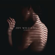 Album cover for Venus by Joy Williams