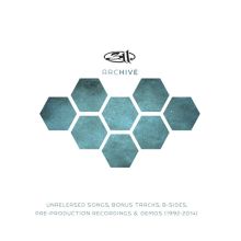 Album cover for Archive by 311