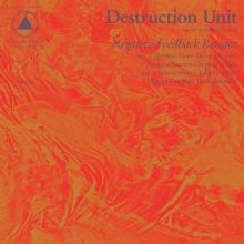 Album cover for Negative Feedback Resistor by Destruction Unit