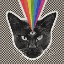 Album cover for Black Cat by Never Shout Never