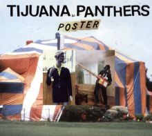 Album cover for Poster by Tijuana Panthers