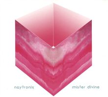 Album cover for Mister Divine by Naytronix