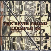 Album cover for Example 22 by The Bevis Frond