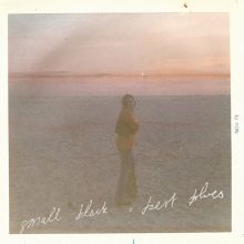 Album cover for Best Blues by Small Black