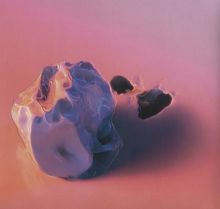 Album cover for Falsework by Young Galaxy