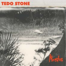 Album cover for Marshes by Tedo Stone