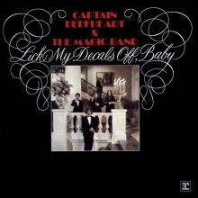 Lick My Decals Off, Baby