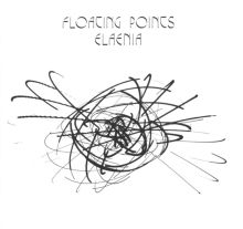 Elaenia