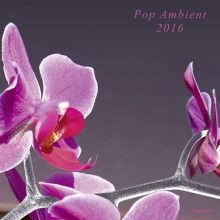 Album cover for Pop Ambient 2016 by Various Artists