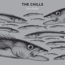 Album cover for Silver Bullets by The Chills
