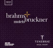 Album cover for Brahms, Bruckner: Motets by Tenebrae / Nigel Short