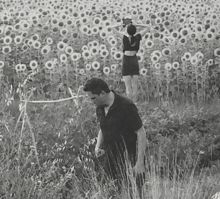 Album cover for Jesu/Sun Kil Moon by Jesu / Sun Kil Moon
