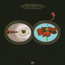 Album cover for The Rarity of Experience by Chris Forsyth & the Solar Motel Band