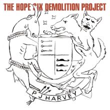 Album cover for The Hope Six Demolition Project by PJ Harvey