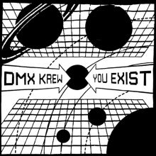 Album cover for You Exist by DMX Krew