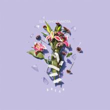 Album cover for Break by Slingshot Dakota