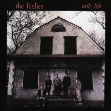 Album cover for Only Life by The Feelies