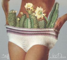 Album cover for Stiff by White Denim