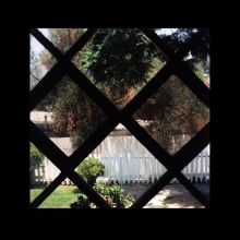 Album cover for Psychic Temple III by Psychic Temple