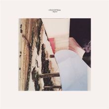 Moshimoss: Endless Endings Tracks & Reviews | AllMusic