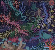Album cover for Adventures by Slow Steve