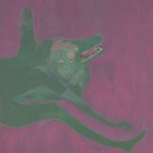 Album cover for Prismrose by David Grubbs