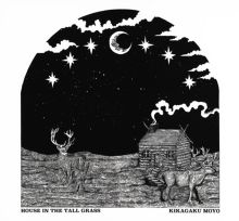 Album cover for House in the Tall Grass by Kikagaku Moyo