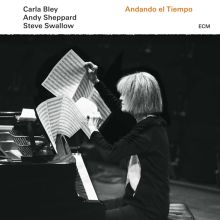 Album cover for Andando el Tiempo by Carla Bley / Andy Sheppard / Steve Swallow