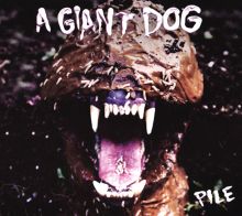 Album cover for Pile by A Giant Dog