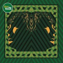 Album cover for A Tribute to Pet Sounds by Various Artists