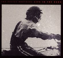 Album cover for Life in the Dark by The Felice Brothers