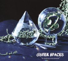 Album cover for A Shedding Snake by Outer Spaces