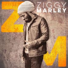 Album cover for Ziggy Marley by Ziggy Marley