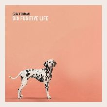 Album cover for Big Fugitive Life by Ezra Furman