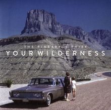 Album cover for Your Wilderness by The Pineapple Thief
