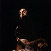 Album cover for Total Depravity by The Veils
