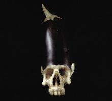 Album cover for Whole Food by Gensu Dean / Denmark Vessey