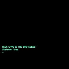 Album cover for Skeleton Tree by Nick Cave / Nick Cave & the Bad Seeds